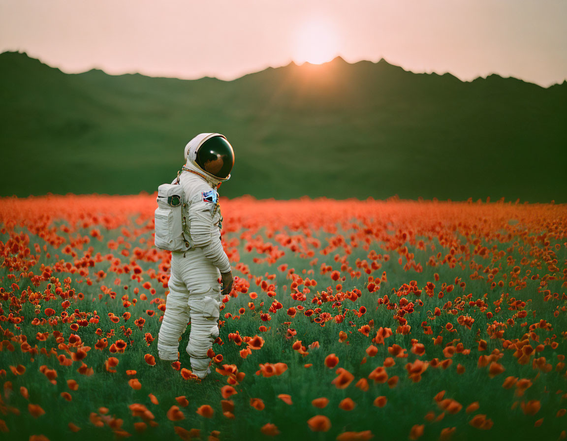 Astronaut in spacesuit among red poppies, mountains, and sunset