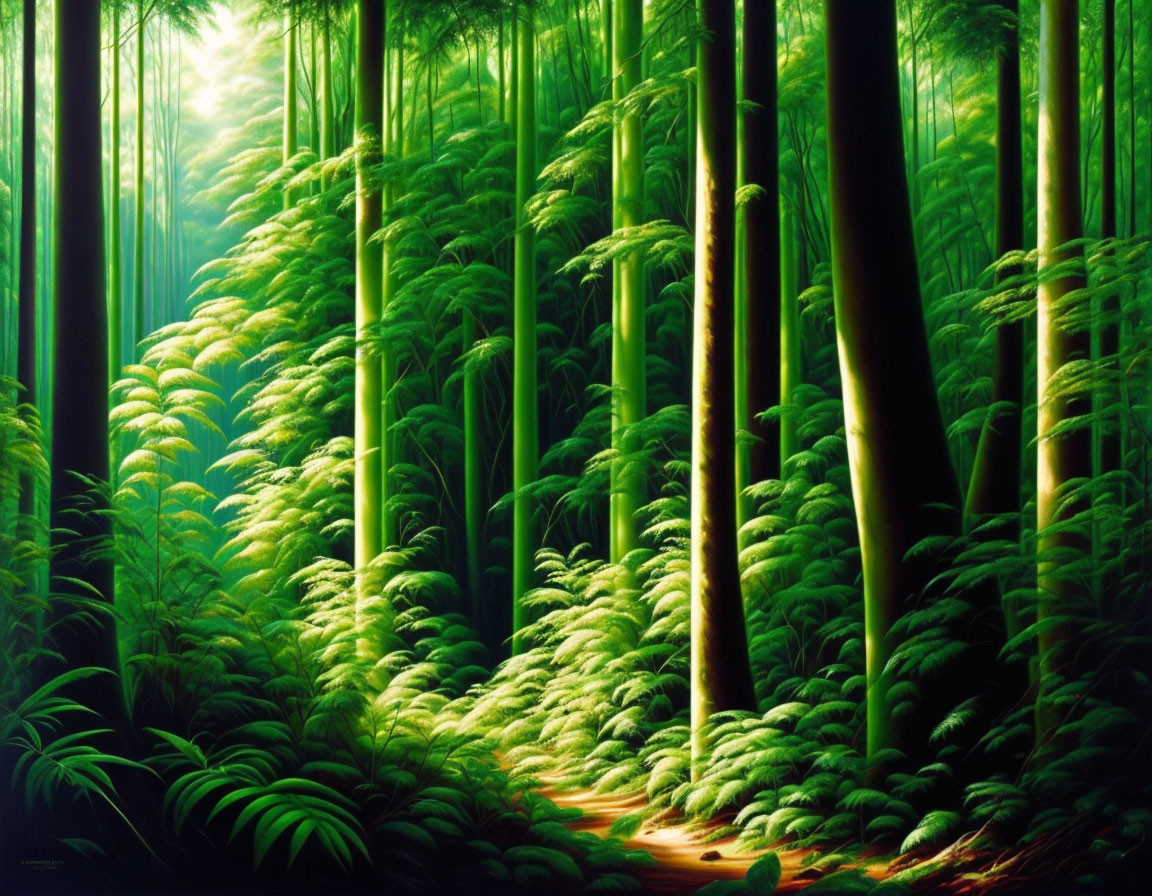 Serene Bamboo Forest with Dappled Sunlight