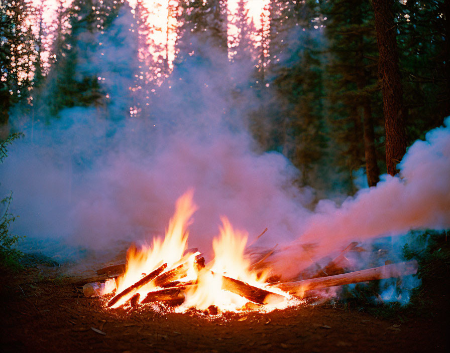 Vibrant campfire with flames and smoke in sunlit forest at dusk