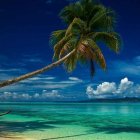 Tranquil beach scene with turquoise waters, yachts, palm tree, mountains, and blue sky