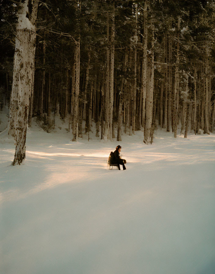 Person sitting on snowy forest bench under sunlight.