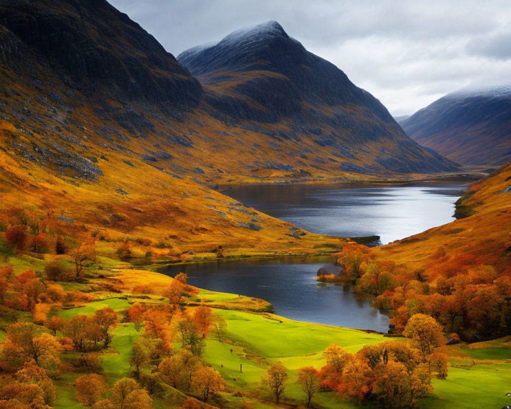 Golden Trees Surround Tranquil Lake in Autumn Landscape