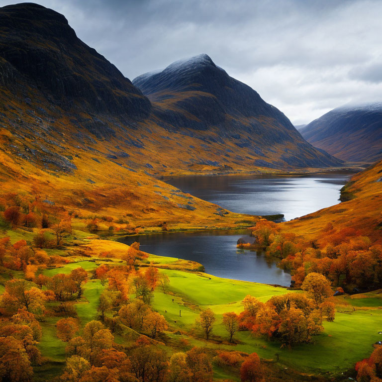 Golden Trees Surround Tranquil Lake in Autumn Landscape