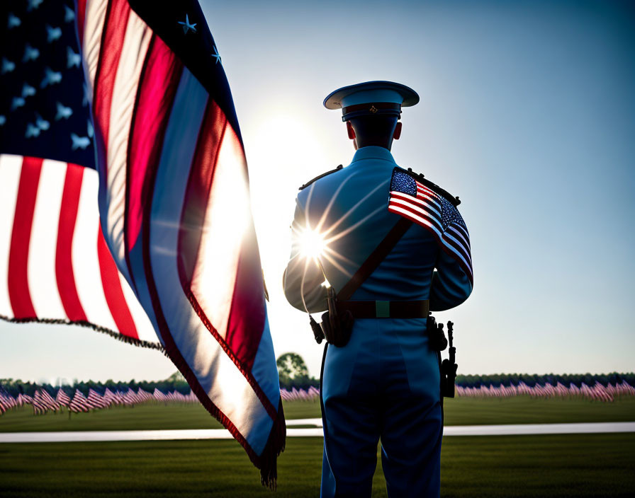 Military figure holding American flag among field of flags at sunrise or sunset