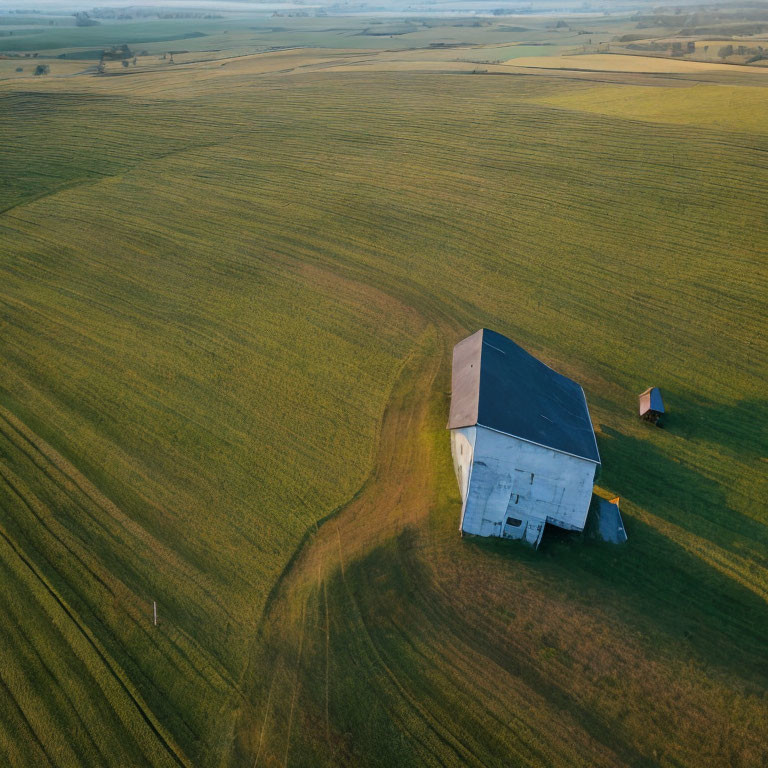 Solitary barn in vast golden field at sunset