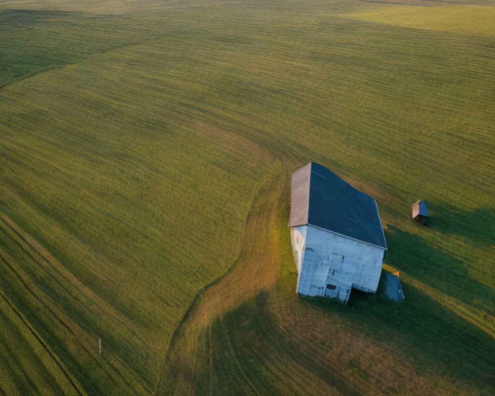 Solitary barn in vast golden field at sunset