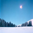 Snow-covered landscape with tall coniferous trees and reddish moon at dusk