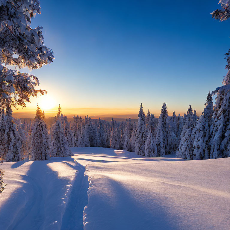 Snowy forest sunset with snow-covered branches and trail under gradient sky