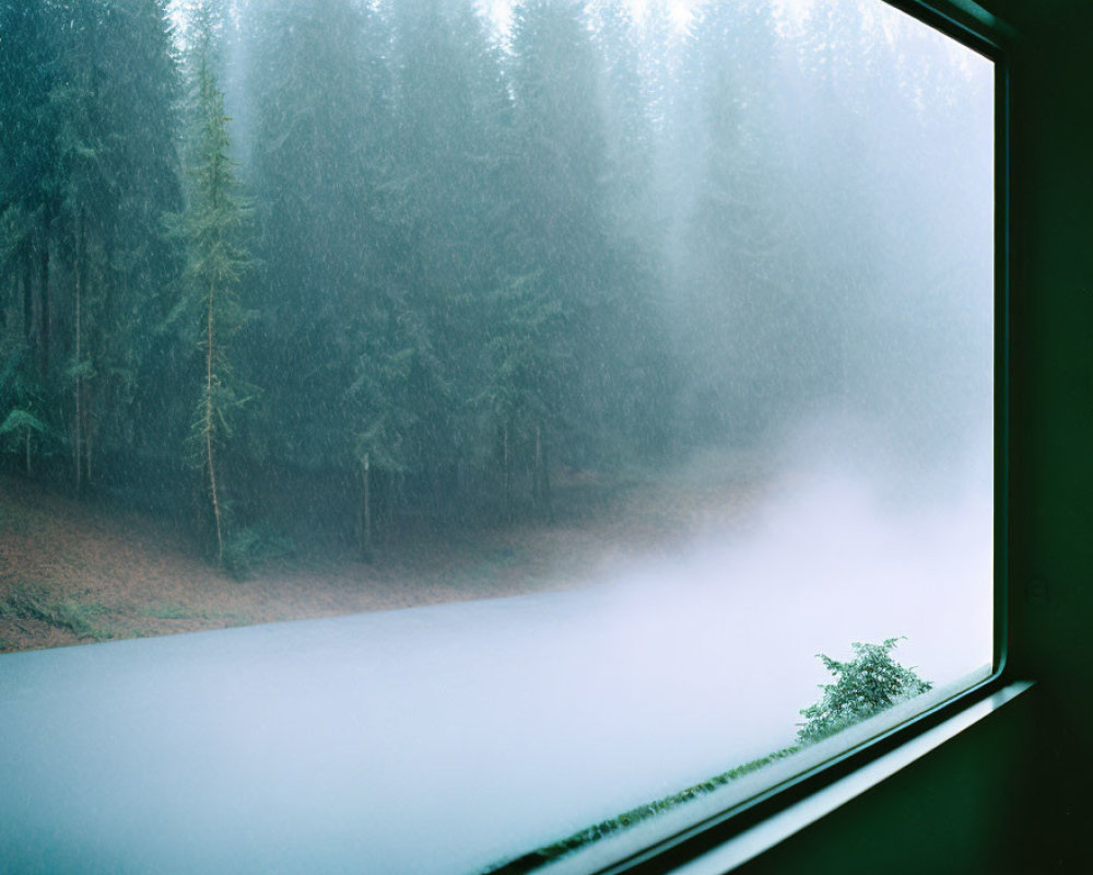 Misty forest view through raindrop-covered window