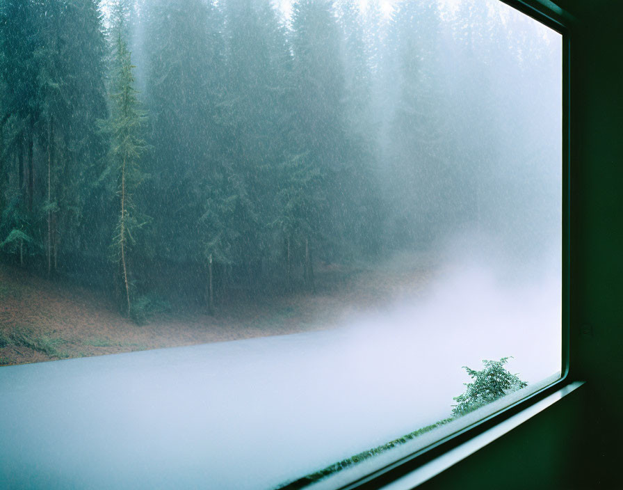 Misty forest view through raindrop-covered window