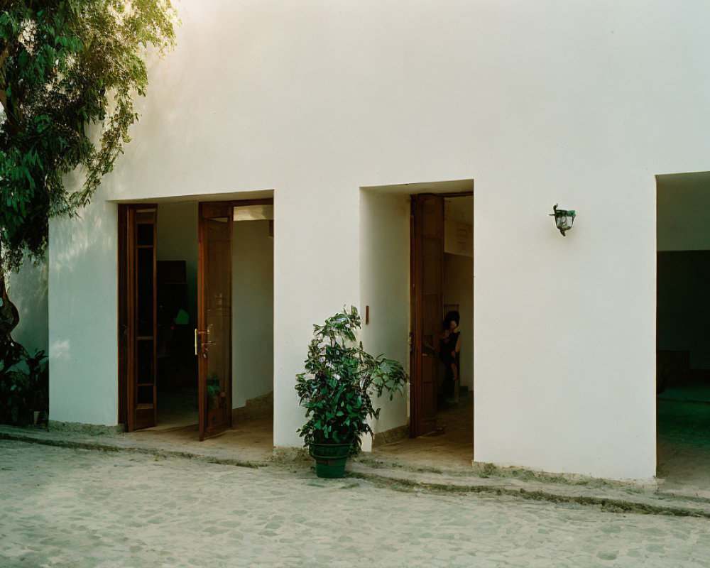 Serene courtyard scene with white walls, wooden doors, potted plant, and person sitting.