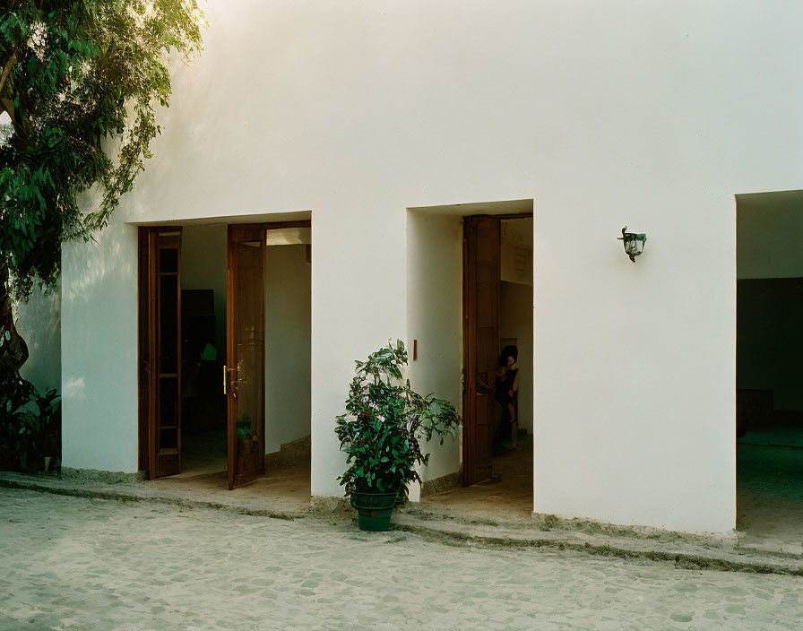 Serene courtyard scene with white walls, wooden doors, potted plant, and person sitting.