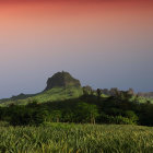 Tranquil sunset landscape with pink sky, grazing cows, green fields