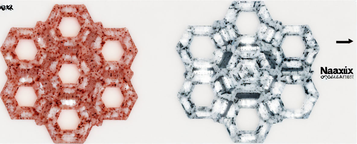 Microscopic Snowflakes: Red Tint and Gray Scale Crystal Patterns