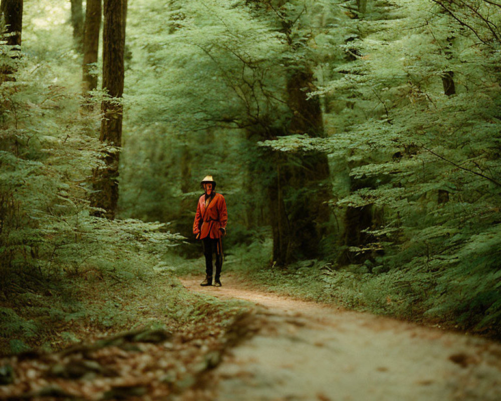 Person in Red Jacket and Hat on Forest Path Surrounded by Green Trees