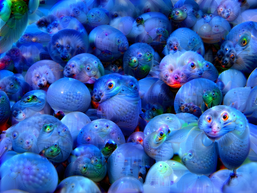 blueberries