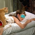 Woman Relaxing in Pool with Ginger Cat Under Sunlight