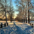 Winter sunset scene with snow, winding path, frosted trees, wooden fence, and warm horizon glow