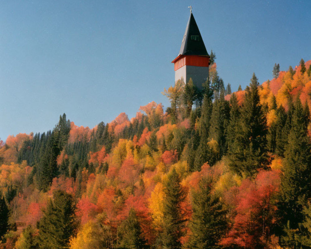 Tower with pointed roof above autumn forest under clear blue sky