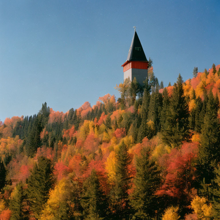 Tower with pointed roof above autumn forest under clear blue sky