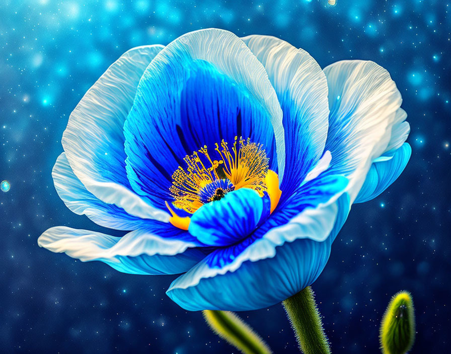 Vivid Blue Poppy with Yellow Center on Starry Background