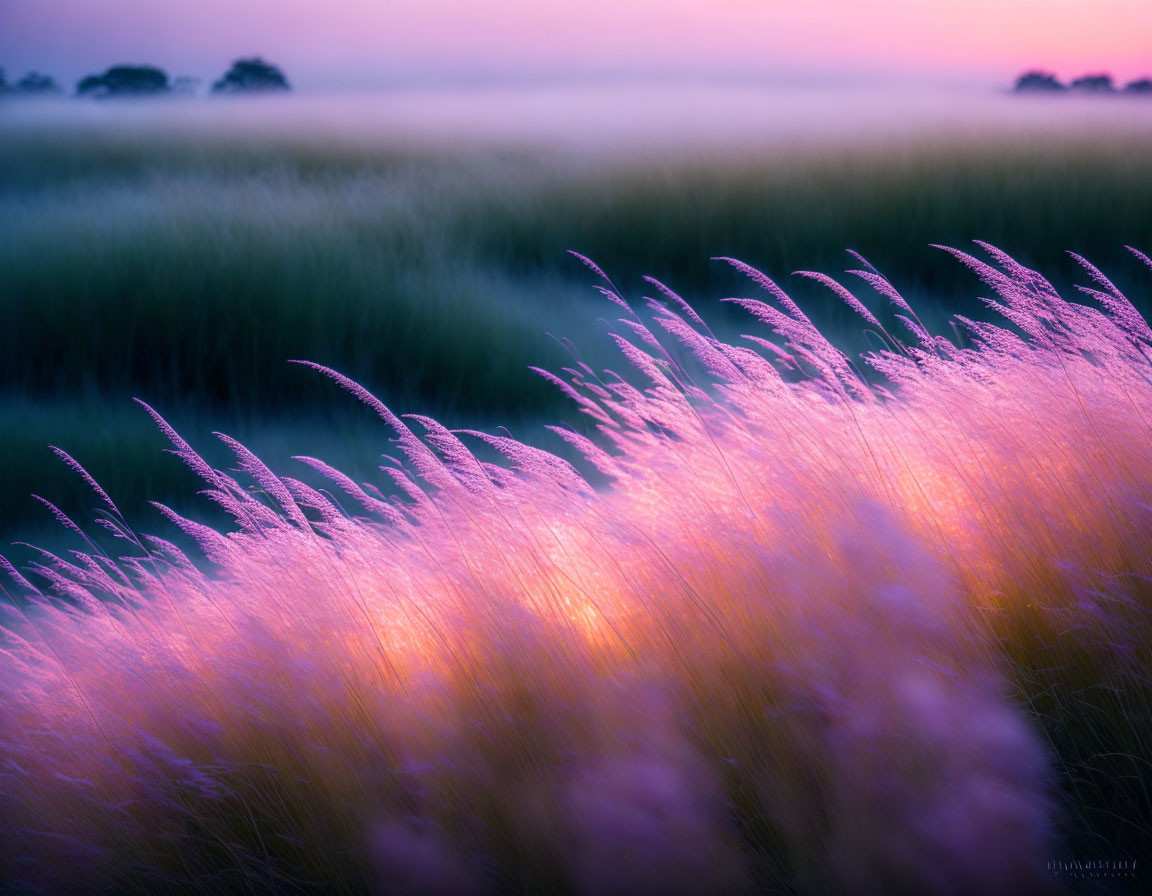 Tranquil landscape with pink grasses and misty green background