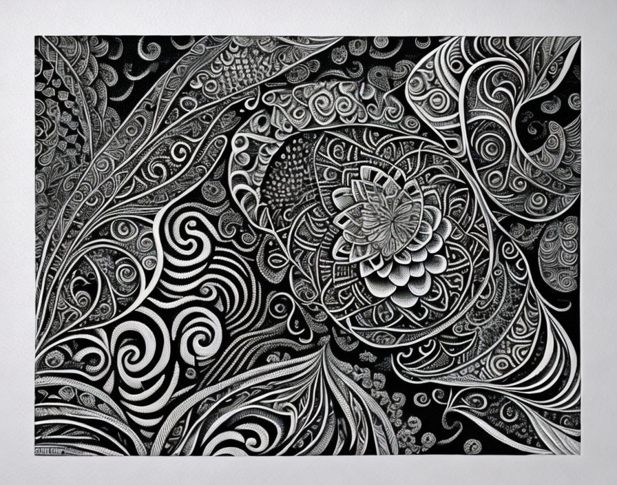 Detailed Black & White Paisley Floral Ornamental Drawing