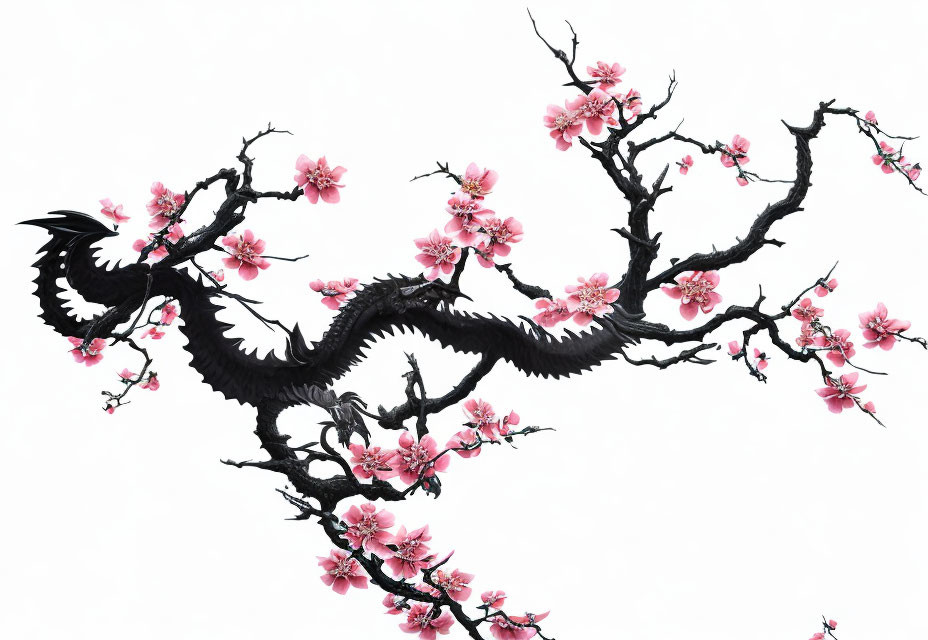 Stylized black dragon with cherry blossoms on white background