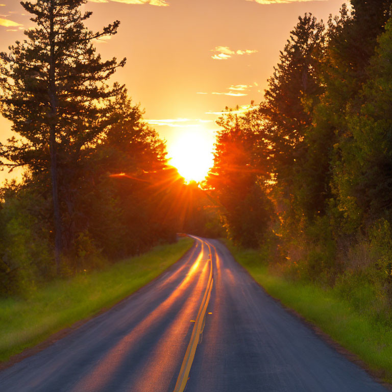 Scenic sunset with sunbeams through trees on winding road