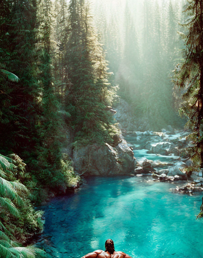 Tranquil river scene with lush green forests and soft sunlight