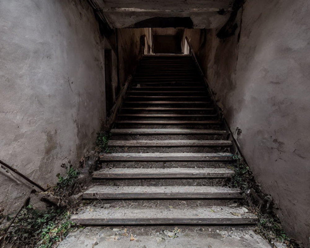 Decaying staircase in abandoned building with overgrown plants