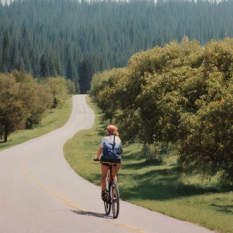 Cyclist on tranquil road surrounded by trees and greenery