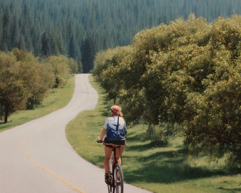 Cyclist on tranquil road surrounded by trees and greenery