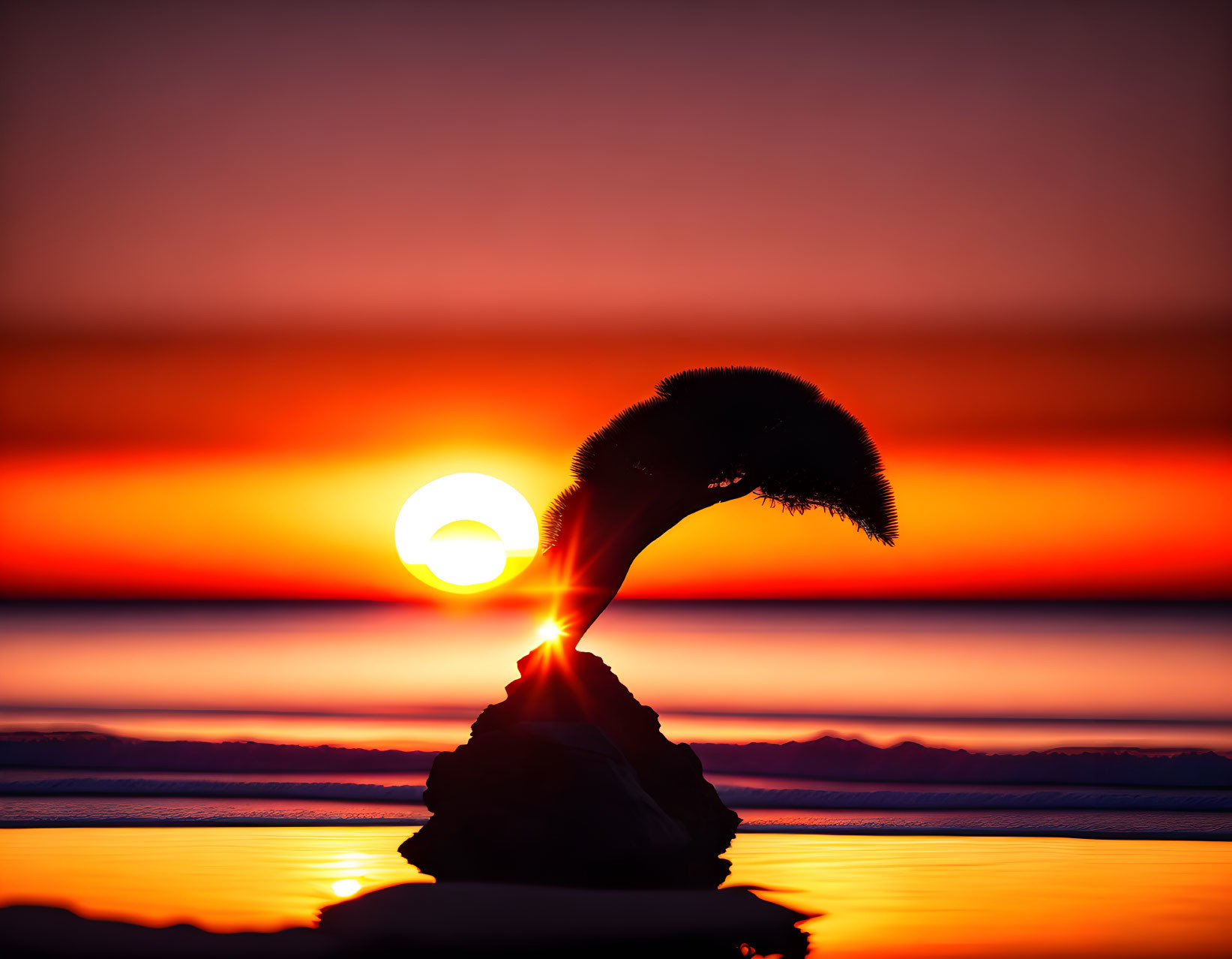 Bird silhouette perched on rock at beach sunset