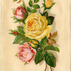 Five Vibrant Orange Roses on Soft Peach Background