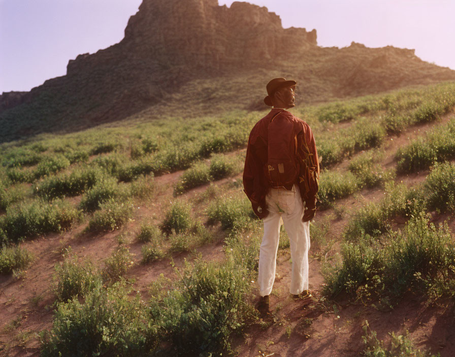 Cowboy hat and red jacket figure in green field at dusk.