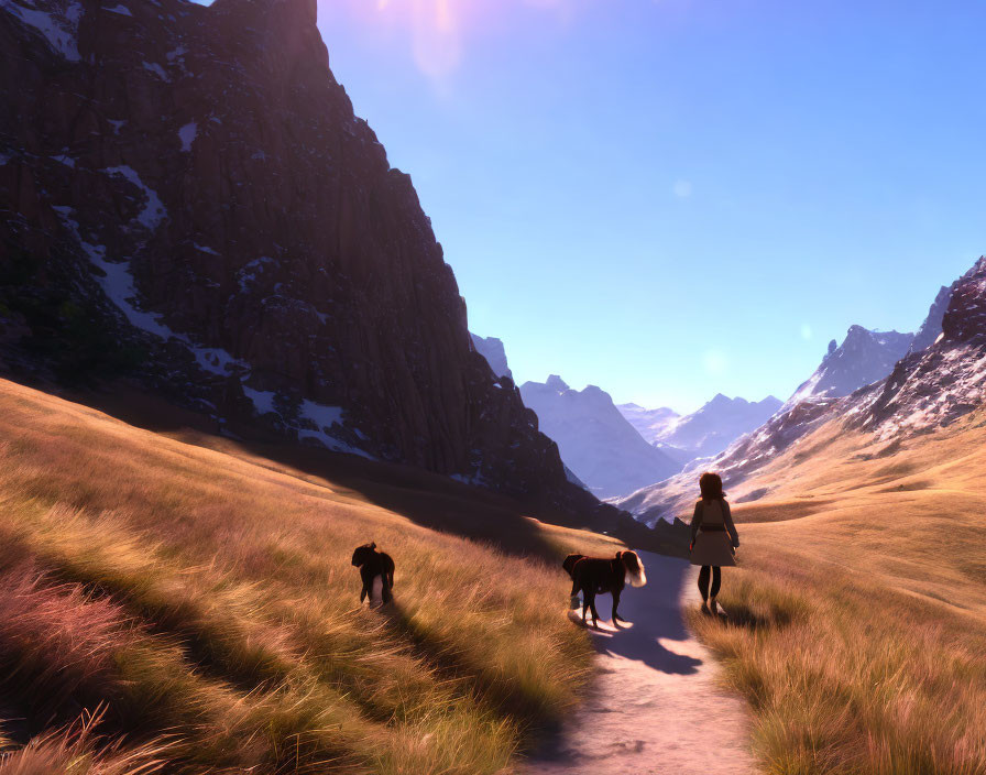 Person and Two Dogs Walking in Sunlit Valley with Rocky Mountains