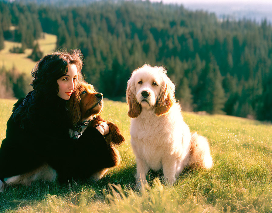 Woman with dark hair hugging two dogs in sunny field