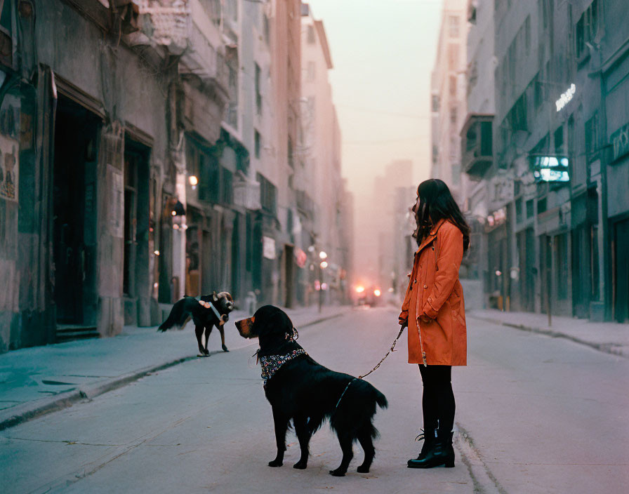 Woman in orange coat with black dog on leash on misty street