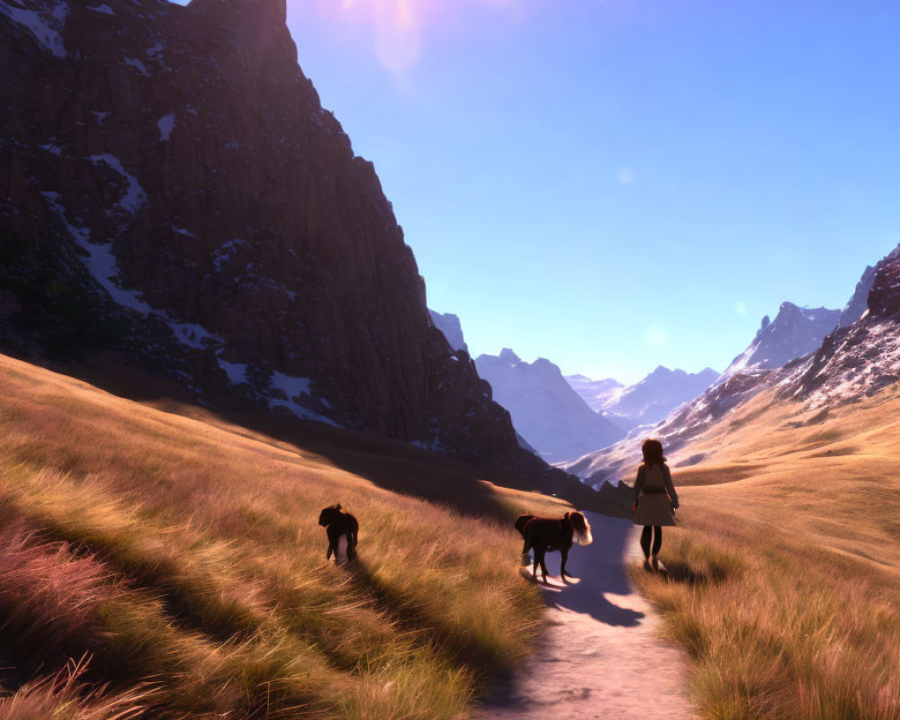 Person and Two Dogs Walking in Sunlit Valley with Rocky Mountains