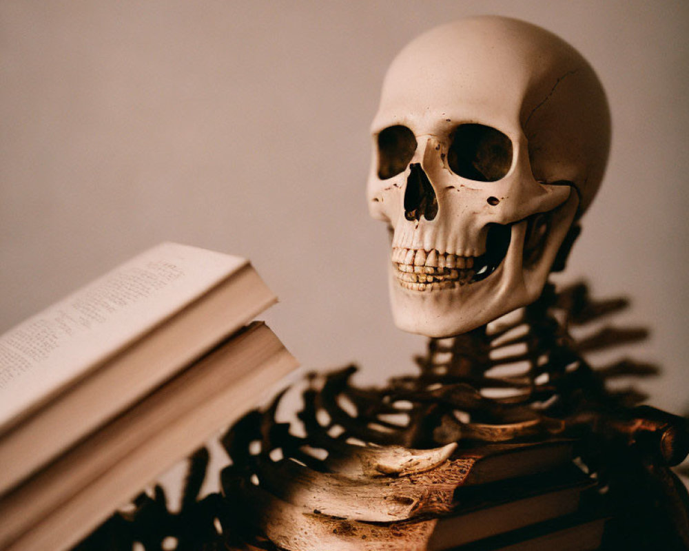 Human skeleton with open book symbolizes scholarly contemplation