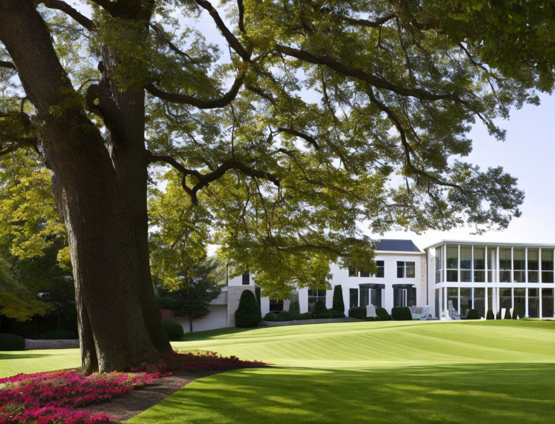 Manicured lawn with pink flowers, white building, trees, clear sky