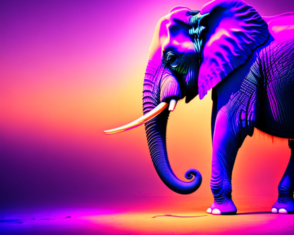 Neon Purple and Blue Elephant Art on Pink Gradient Background