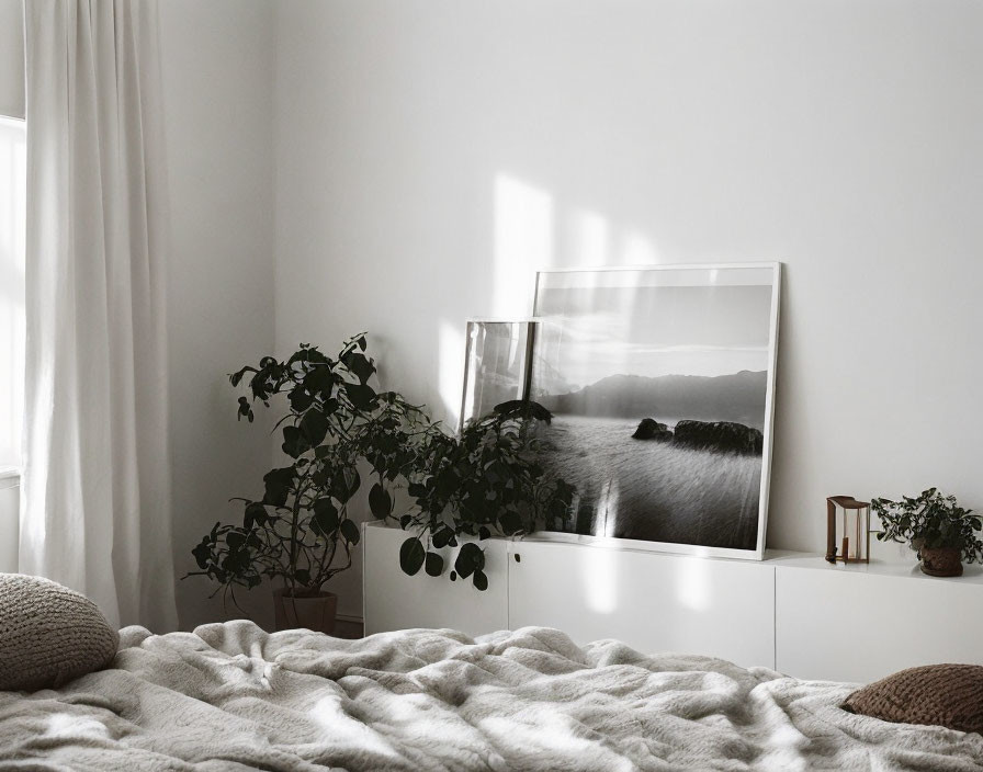 Monochromatic room with seascape photo, plants, and sunlit bed