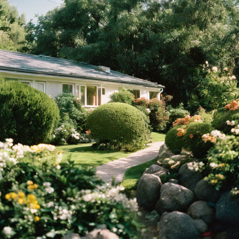 Charming house with vibrant garden and stone pathway