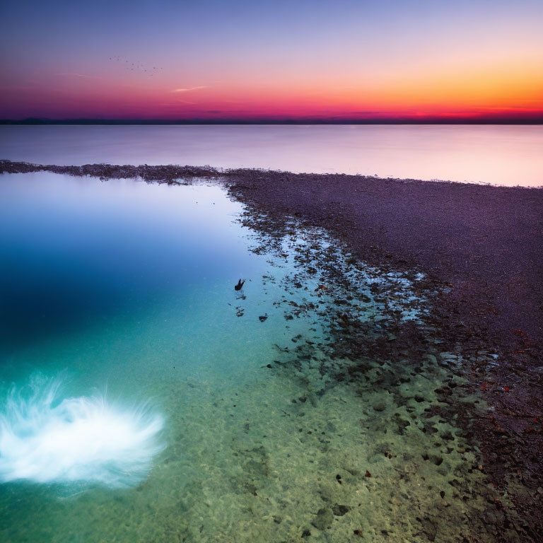 Tranquil lake scene at twilight with rocky shore and submerged plant in clear water