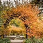 Vivid Autumn Forest with Twisted Trees and Sunset Stream