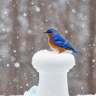 Stylized blue birds with intricate patterns on dotted branches in speckled orange and blue.