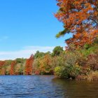 Stylized landscape with intricate trees, blue sky, and pond.