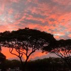 Scenic sunset: orange and pink hues over calm lake